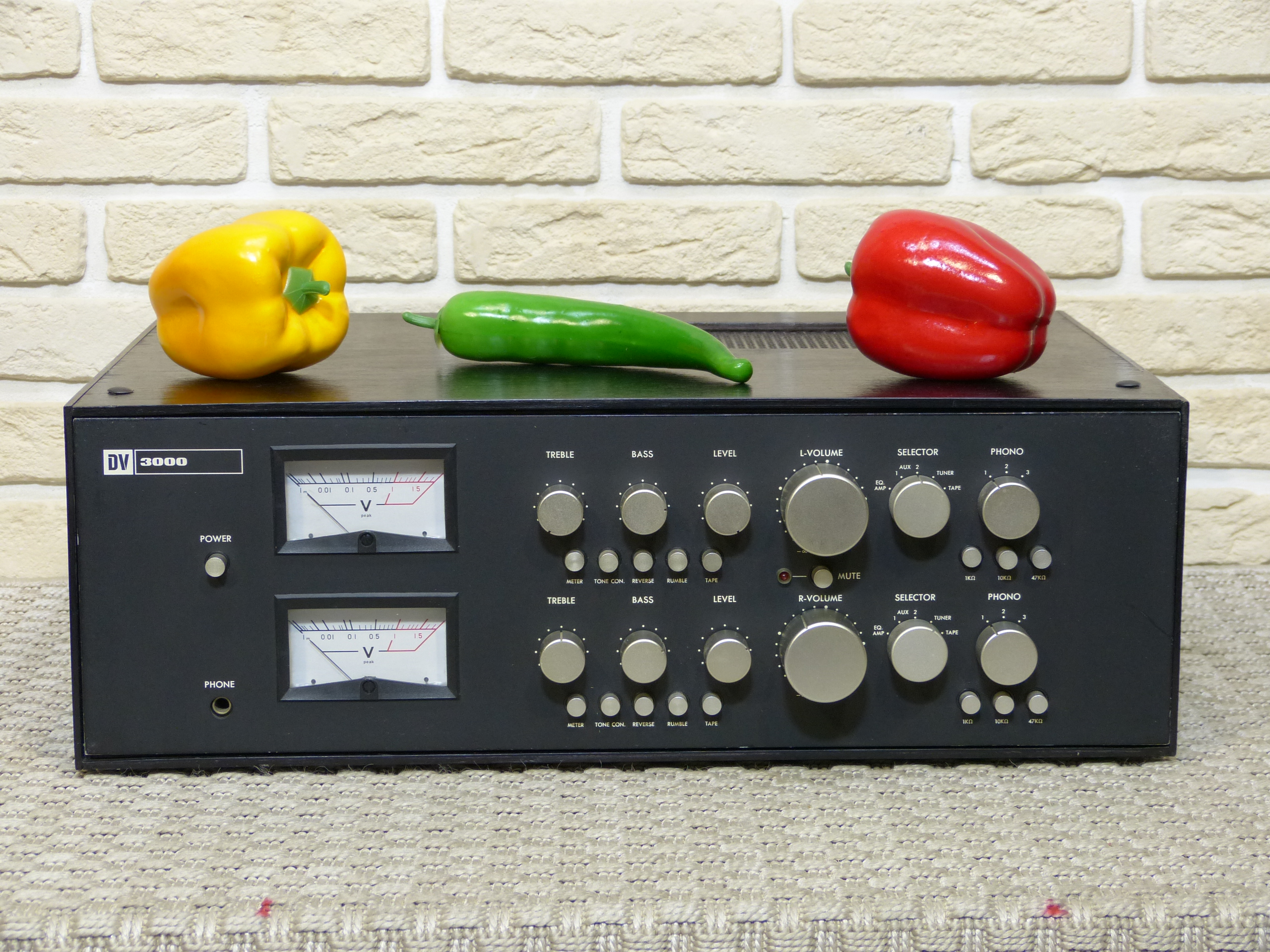 Dynavector DV3000 3