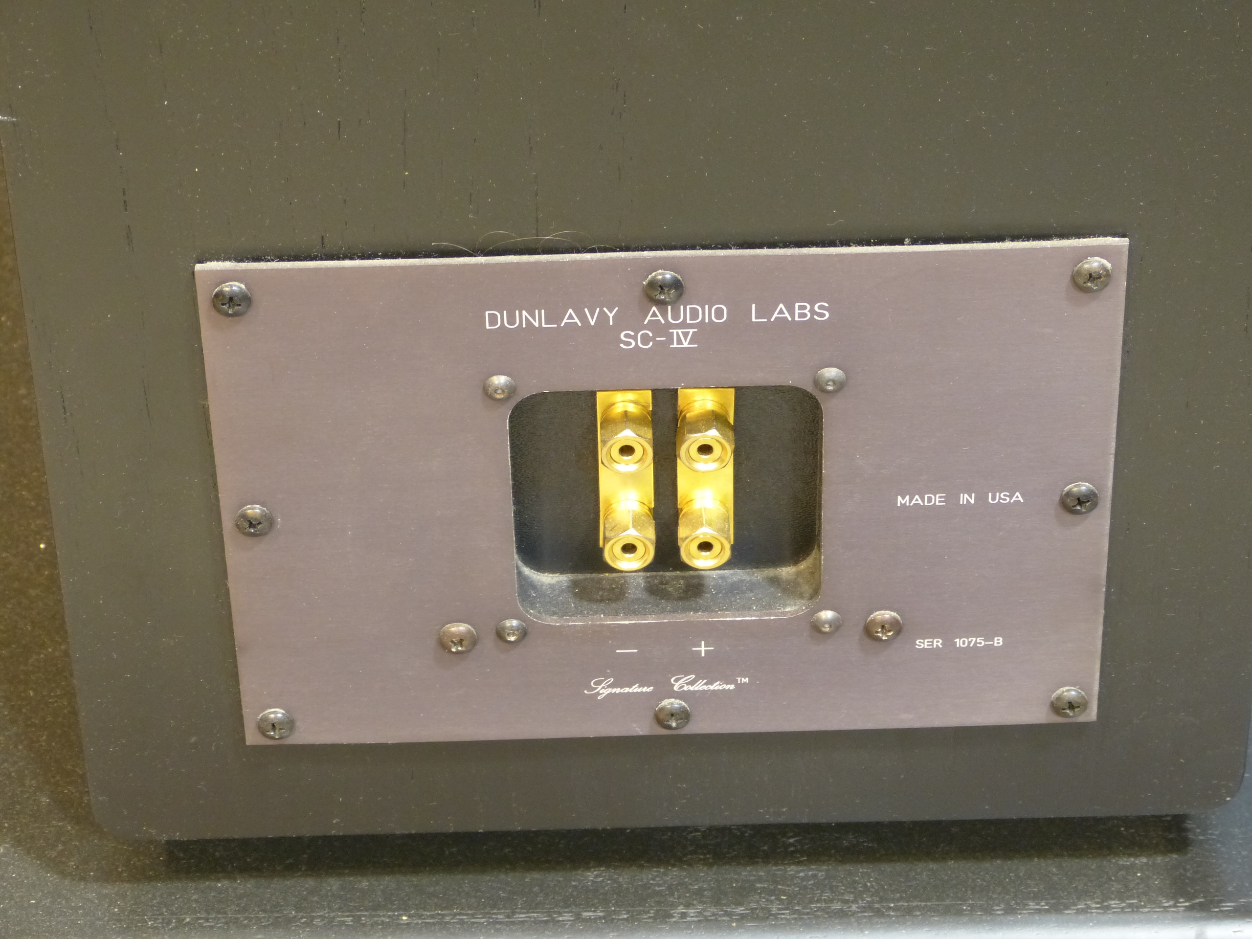 Dunlavy 4 / 2x10" 5